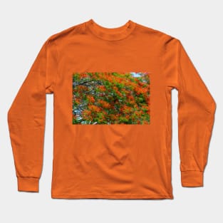 Royal Poinciana Flowering Tree Long Sleeve T-Shirt